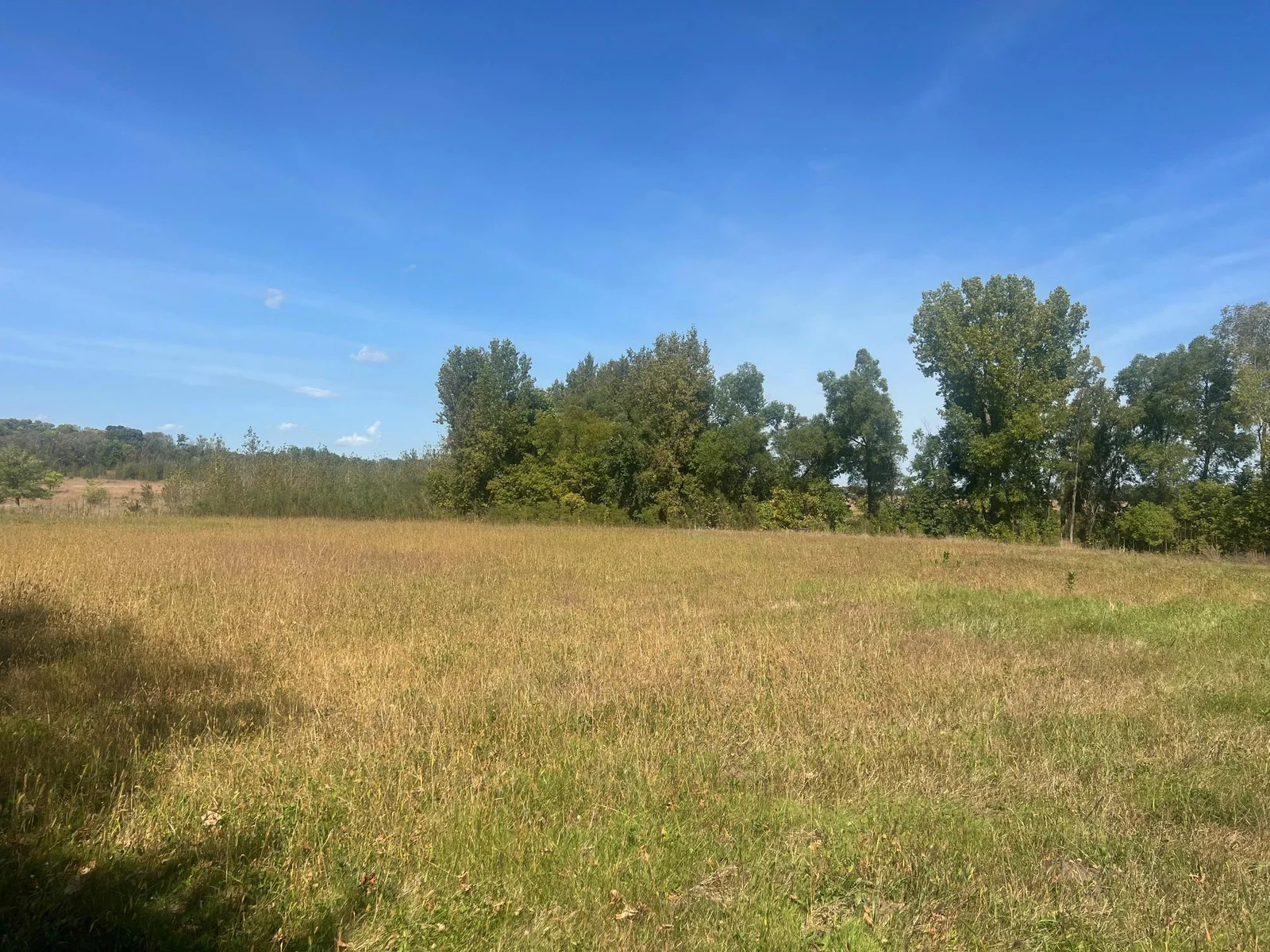 Food plot