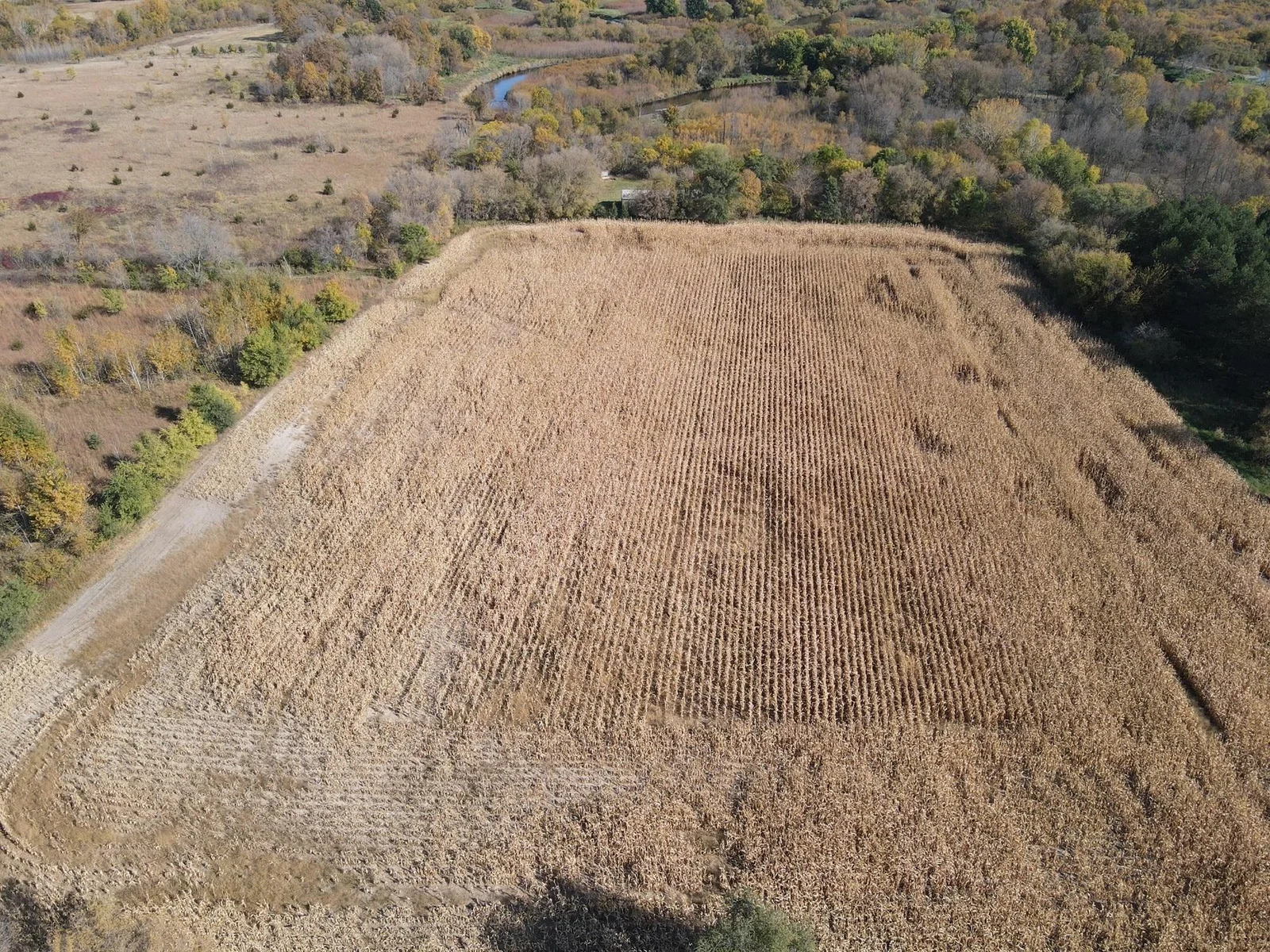 6+ acres of productive corn/bean field on the west side of the property