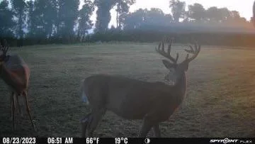 Great genetics in Meeker County!