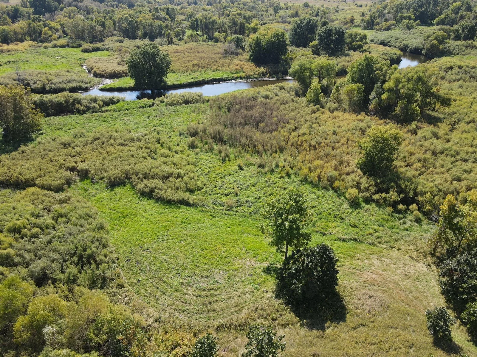 Excellent whitetail habitat