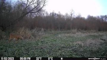 During the rut!