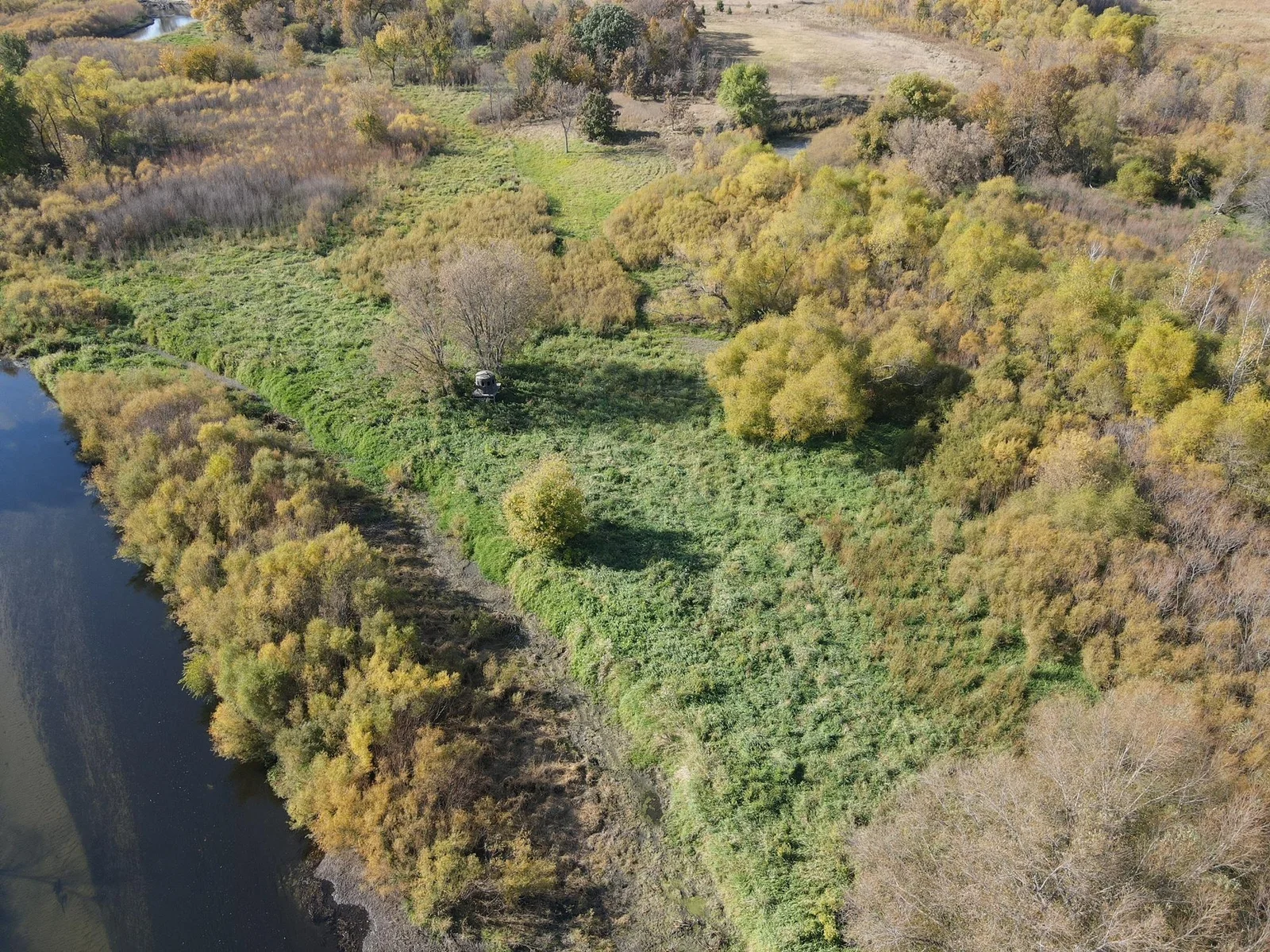 Productive stand overlooking the food plot