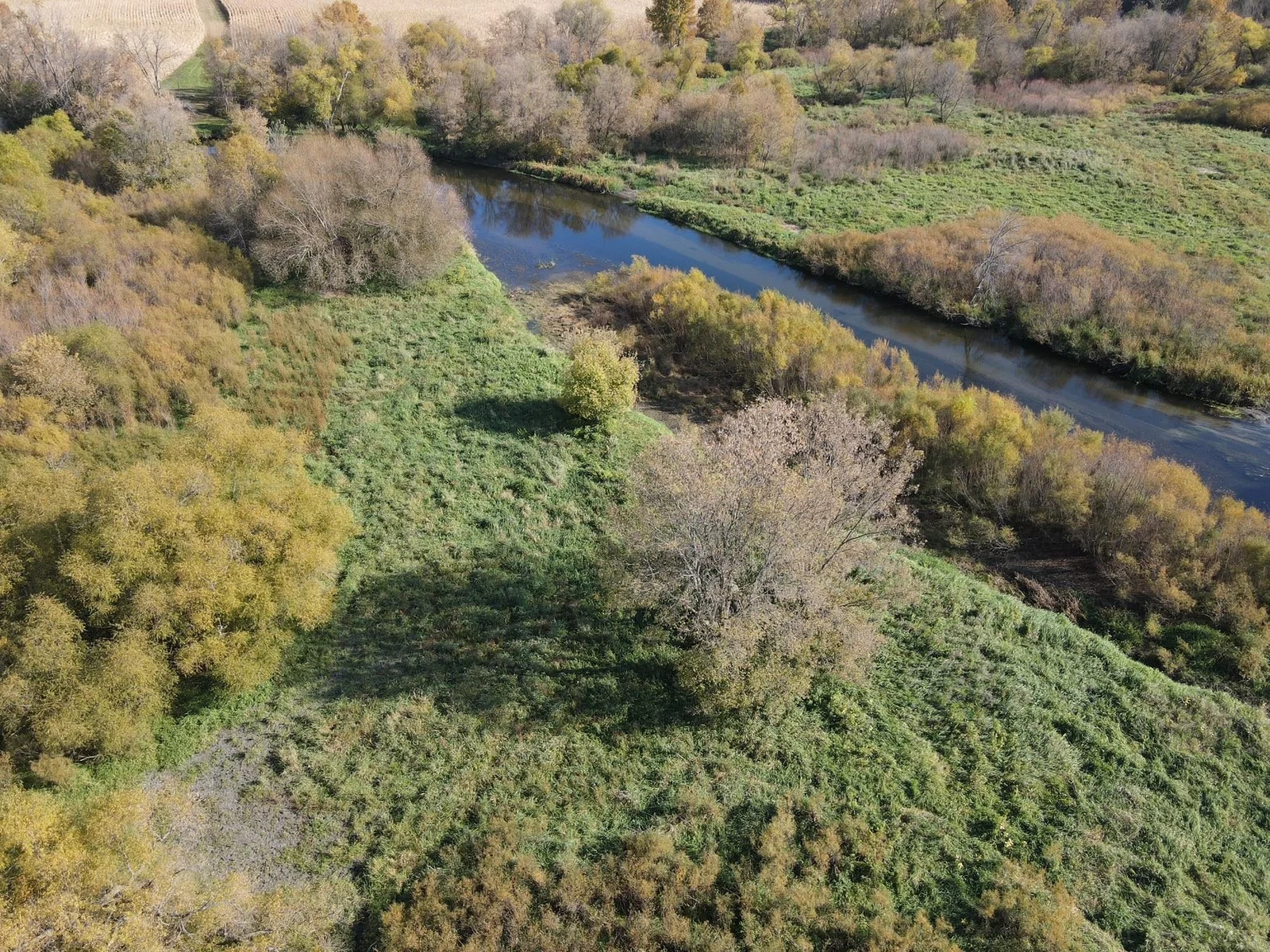 Riverside food plot