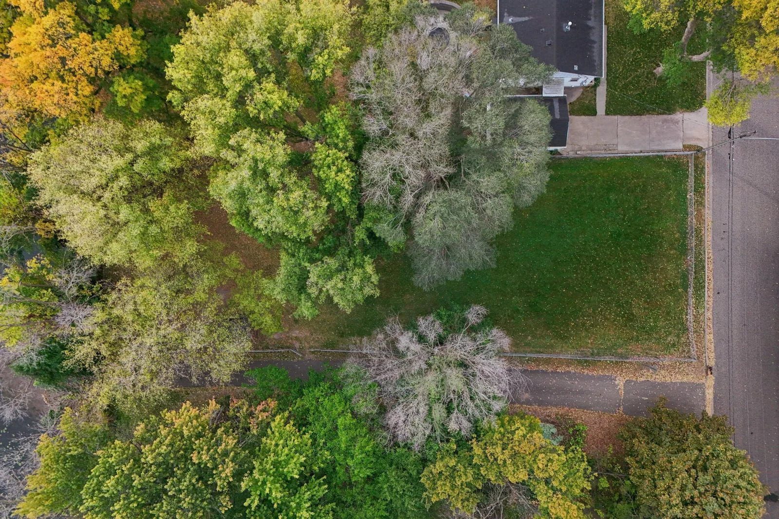 8-web-or-mls-489 Gentry Ave N - Aerial-008.jpg