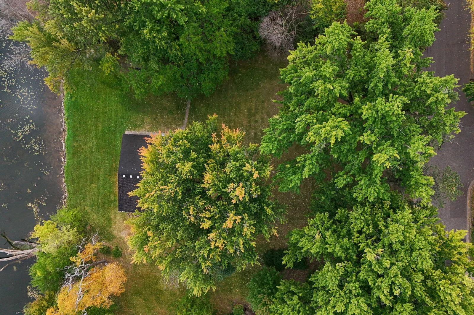 10-web-or-mls-489 Gentry Ave N - Aerial-010.jpg