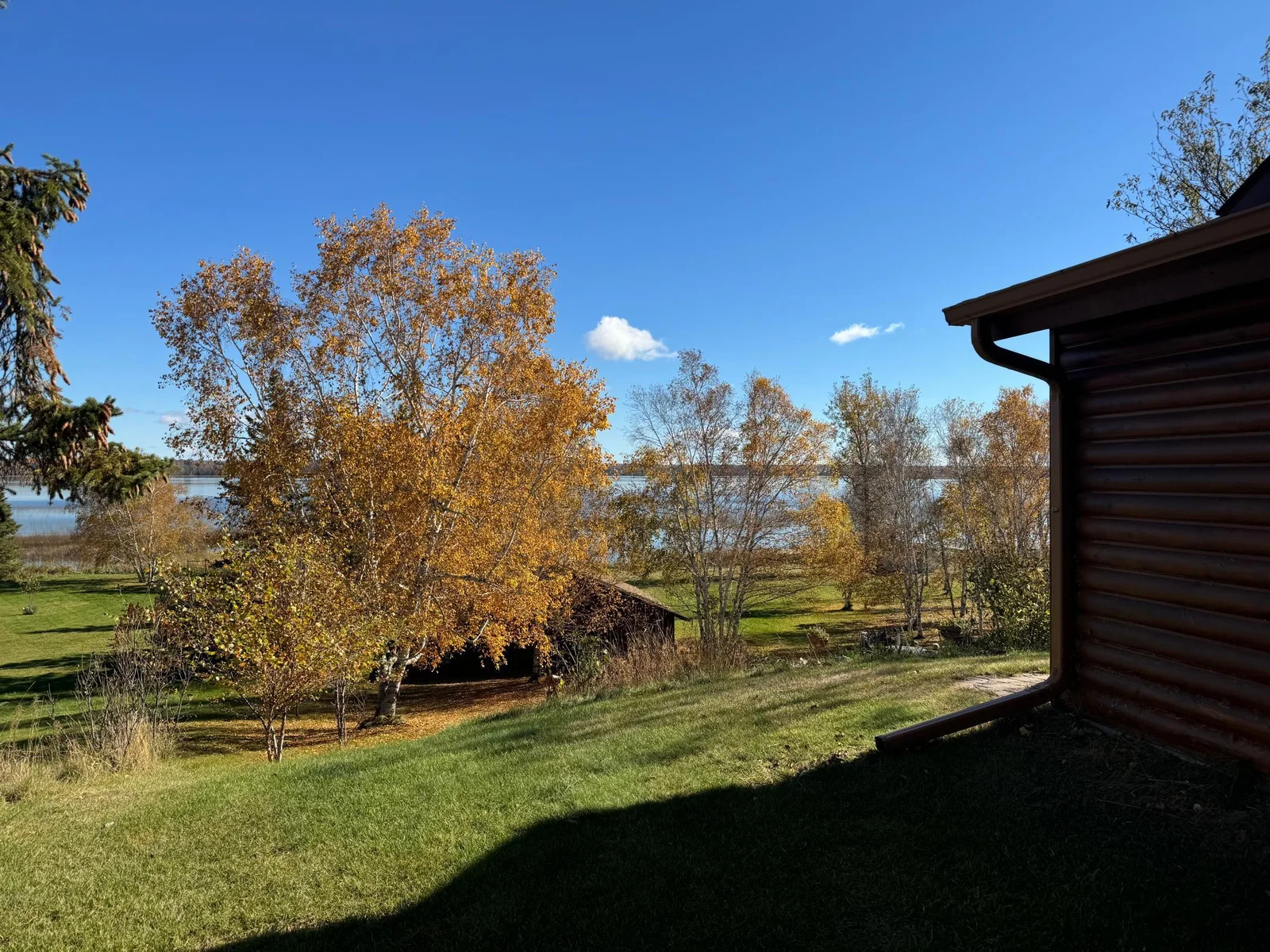 Side Yard