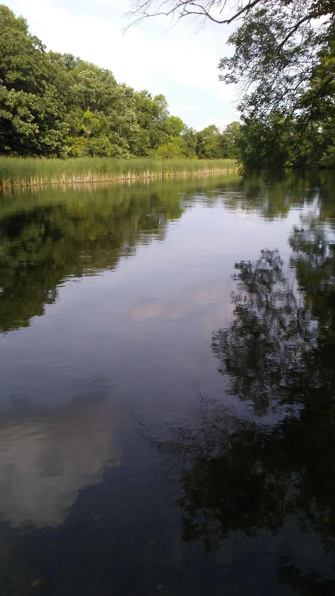 View Down River.JPG