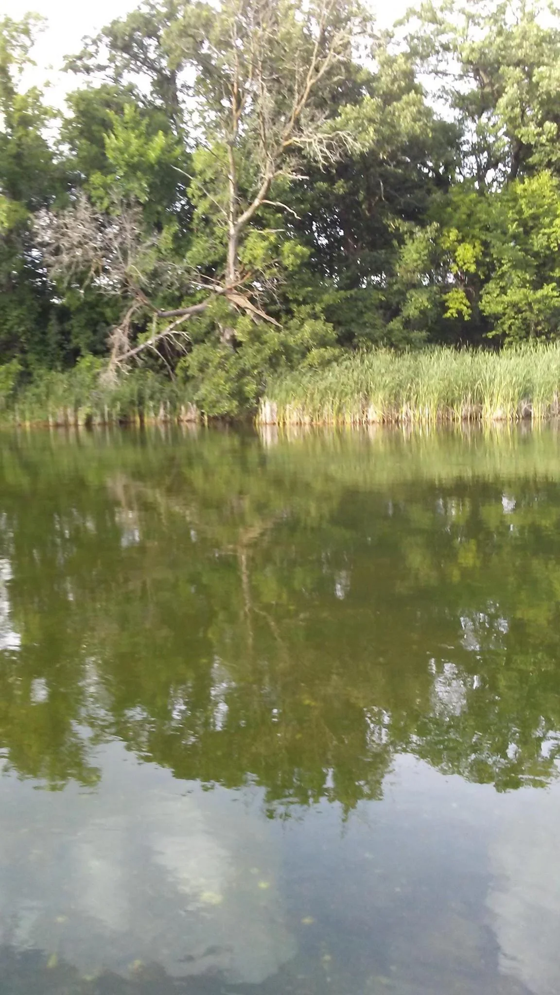 View of River.JPG