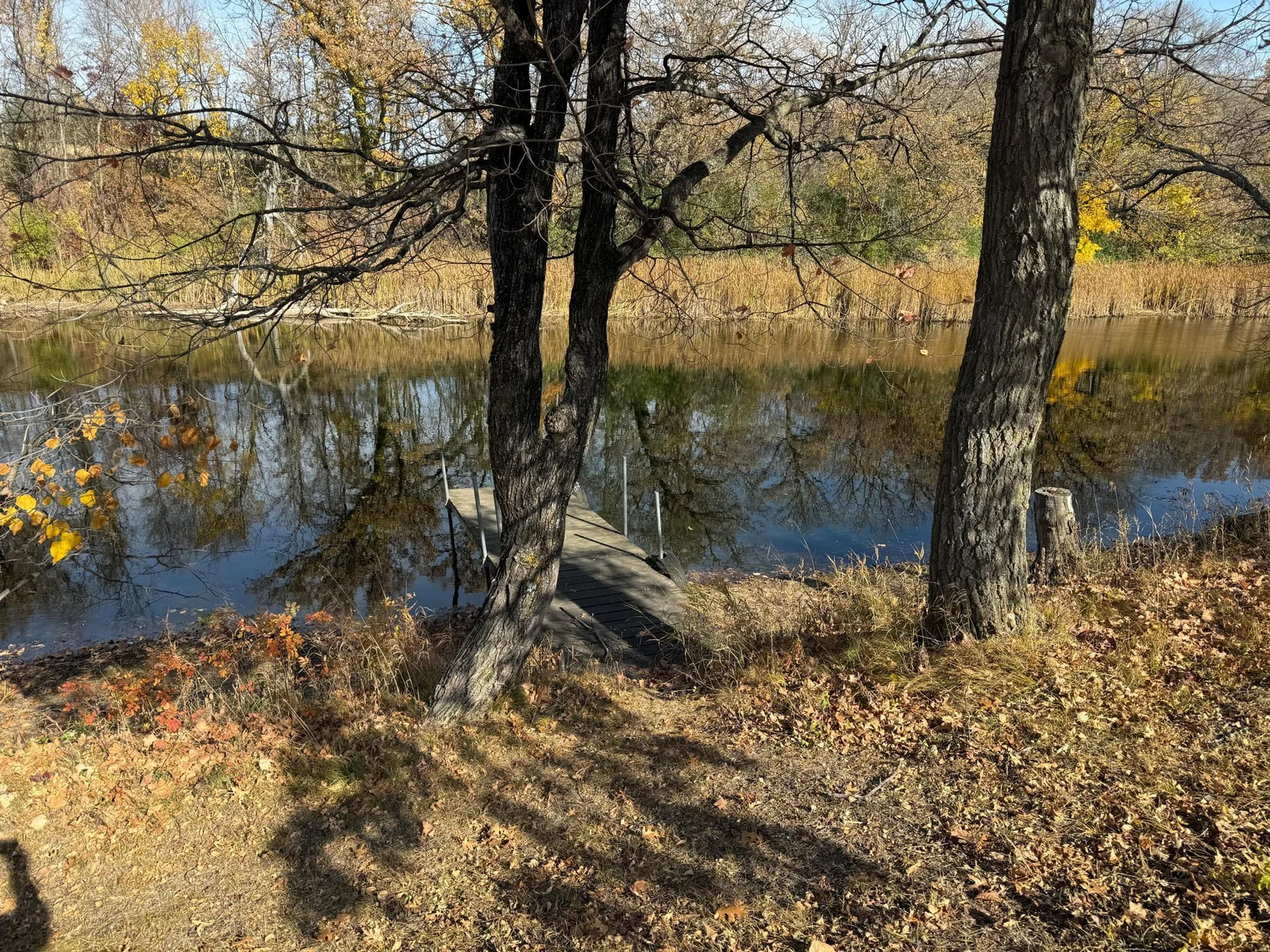 River Views.jpg