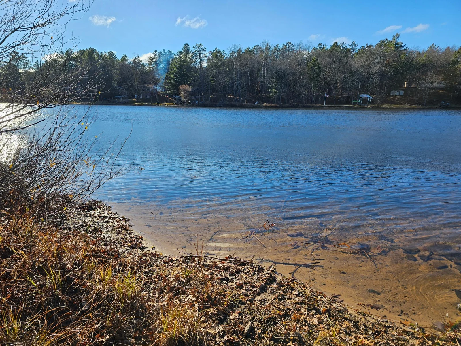 20241112_131737.jpg