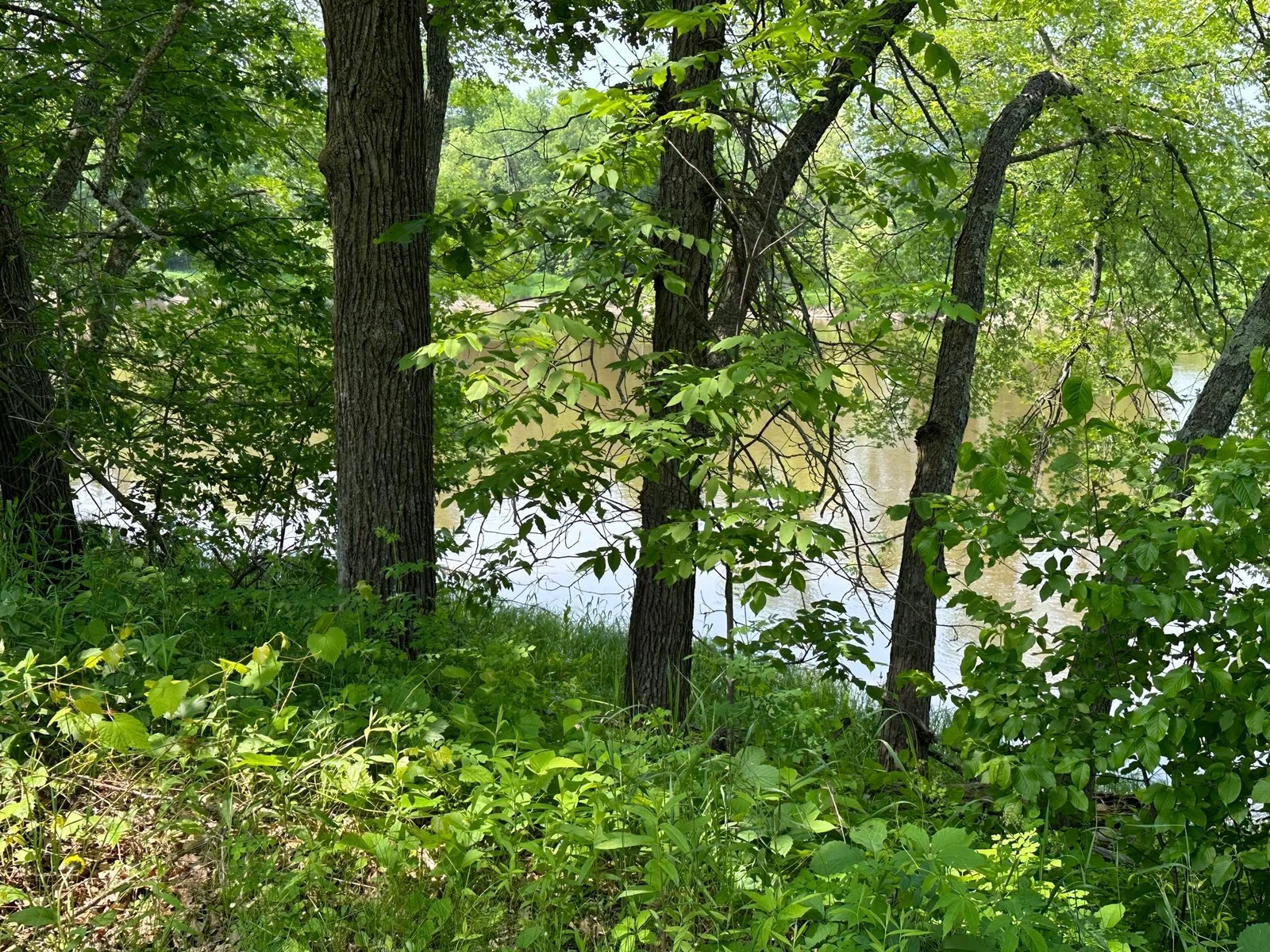 IMG_0907.jpg