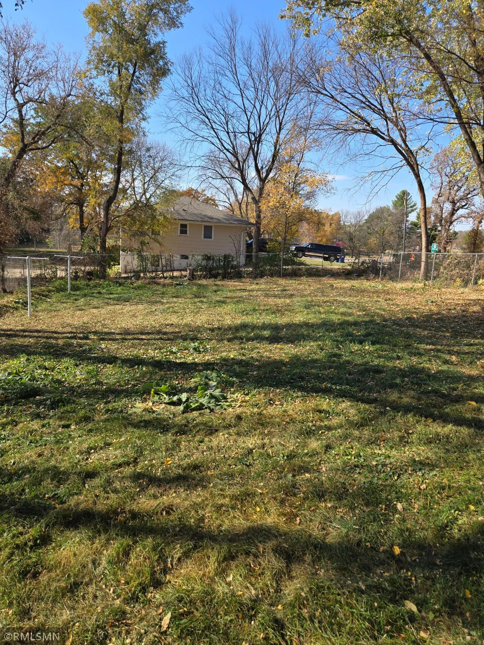 backyard.jpg
