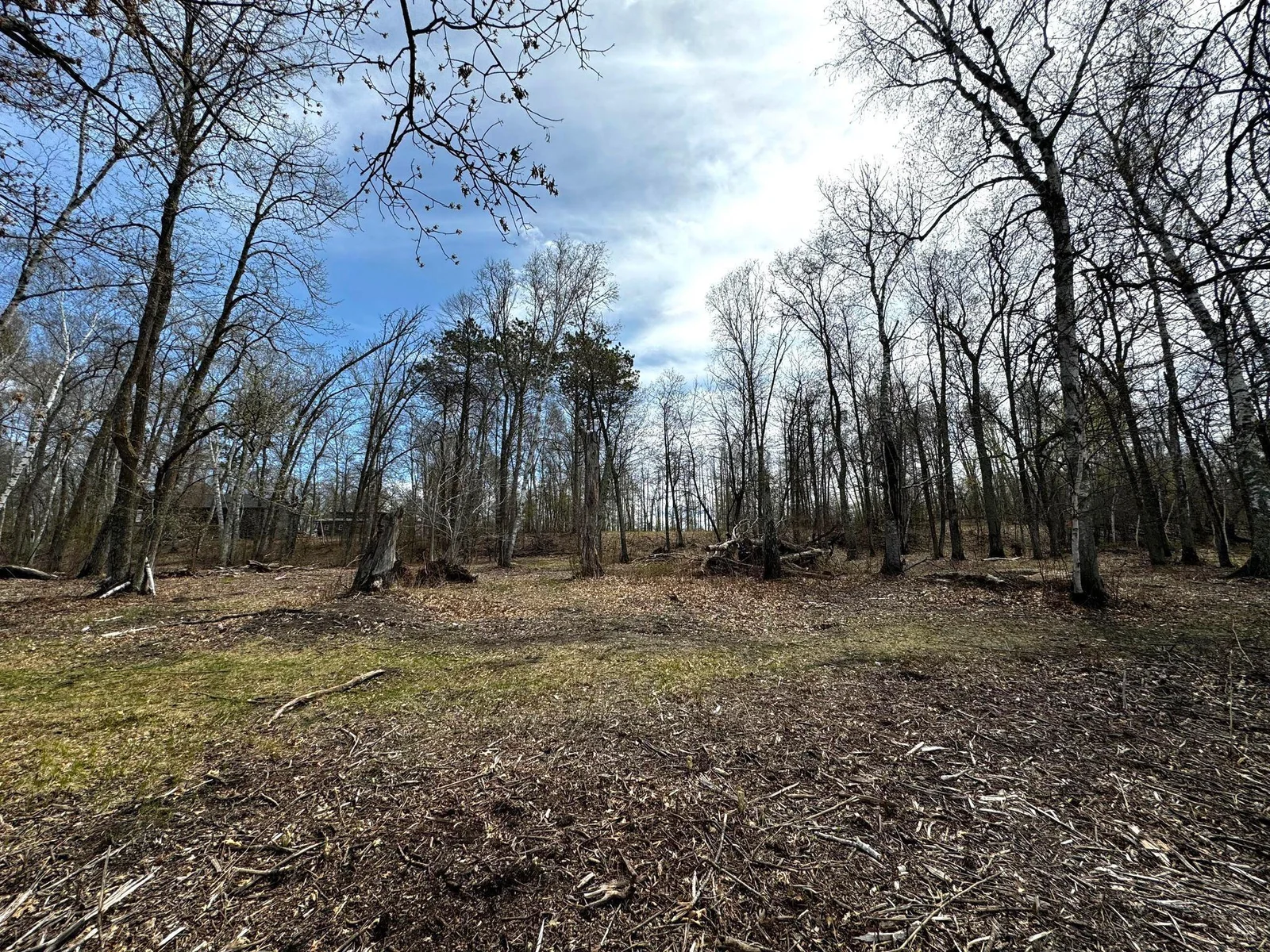 Back of lot facing towards front .jpg