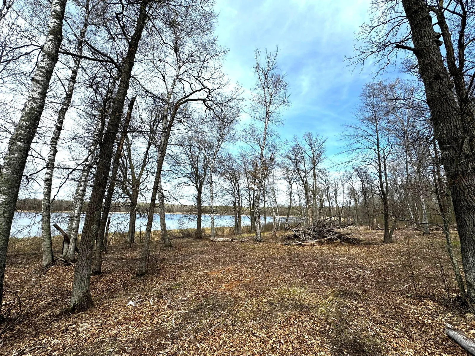 Far end of lot.jpg