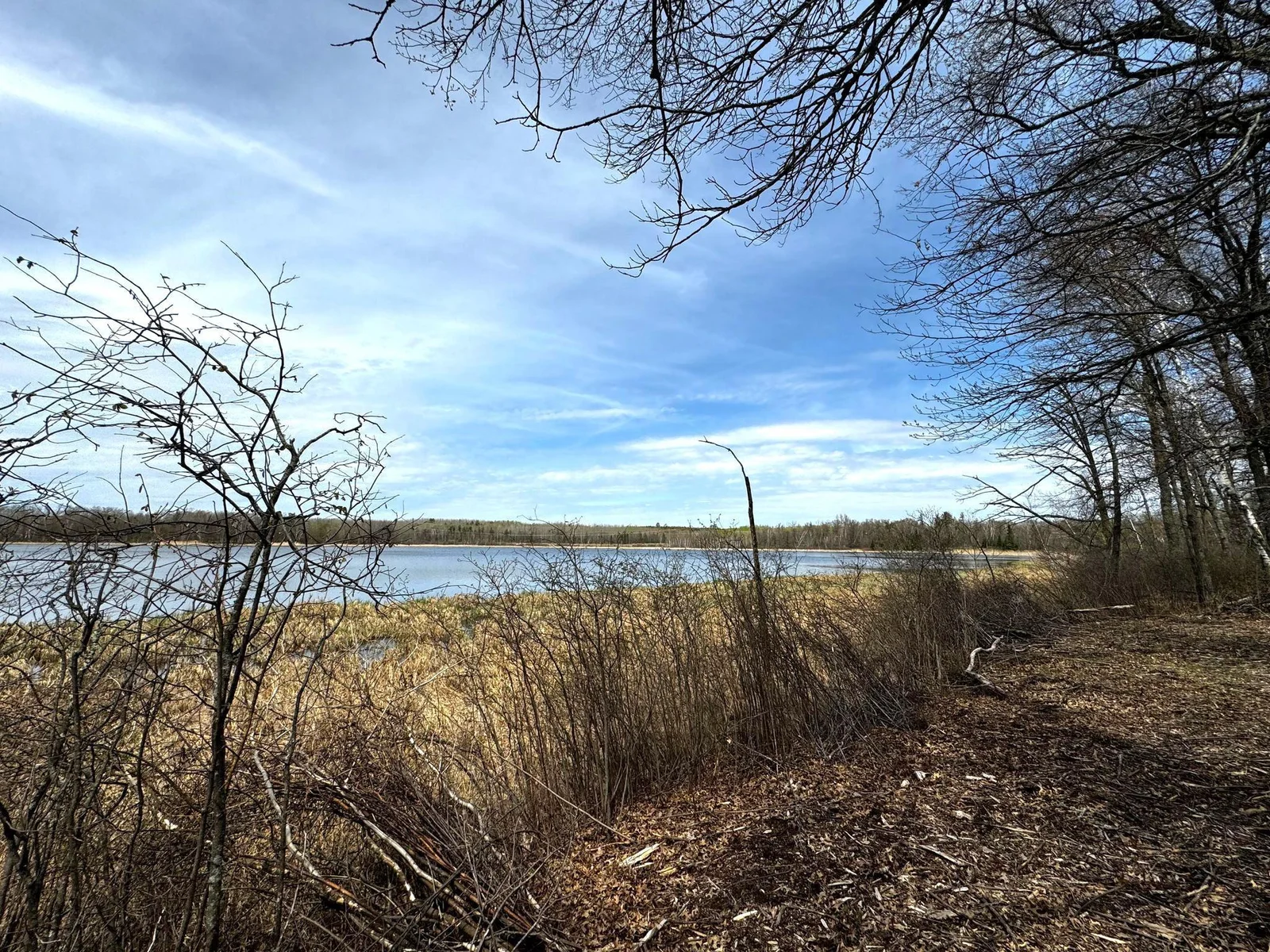 Private Pickerel Lake.jpg