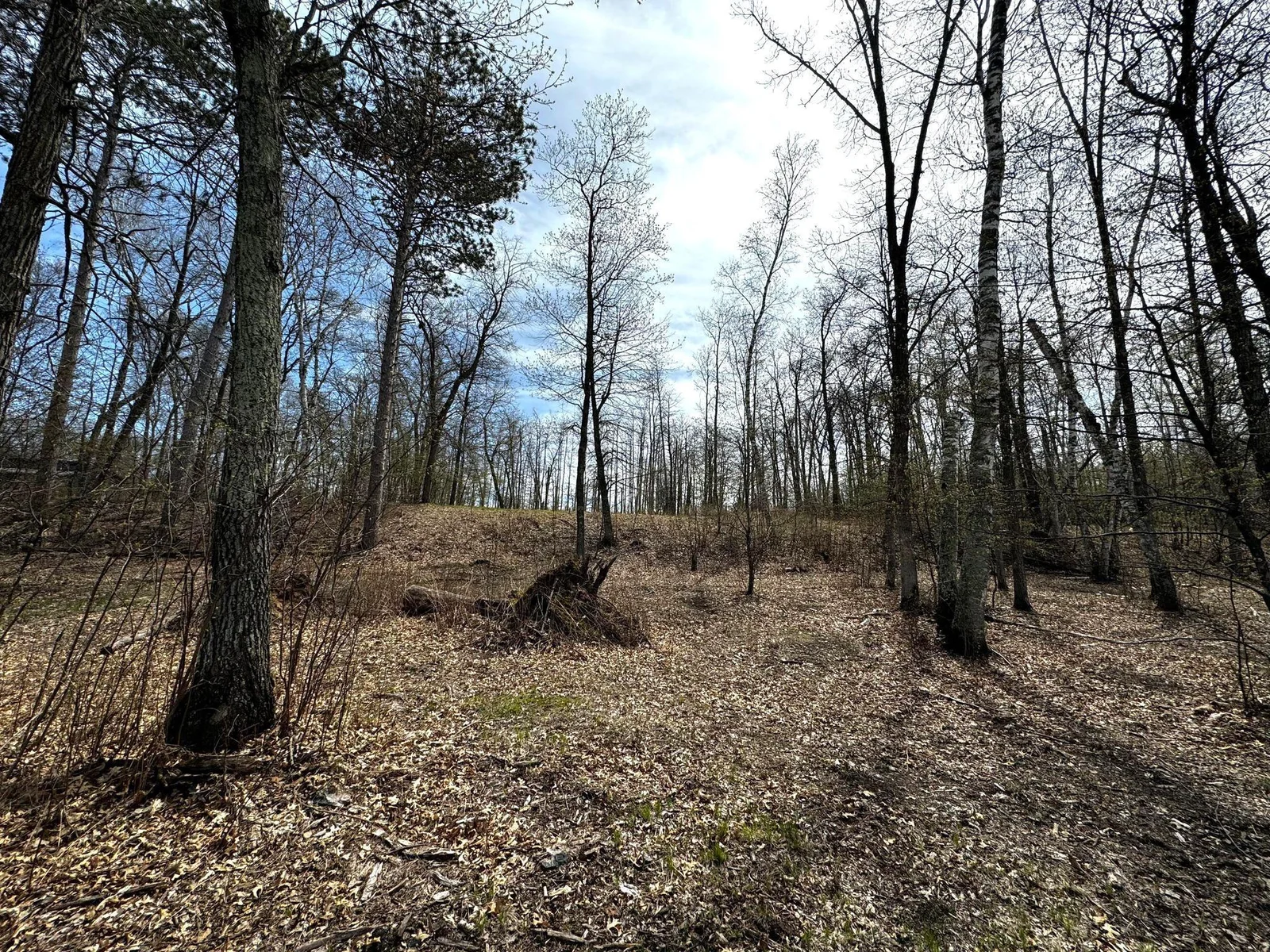 From lake looking to front of lot.jpg
