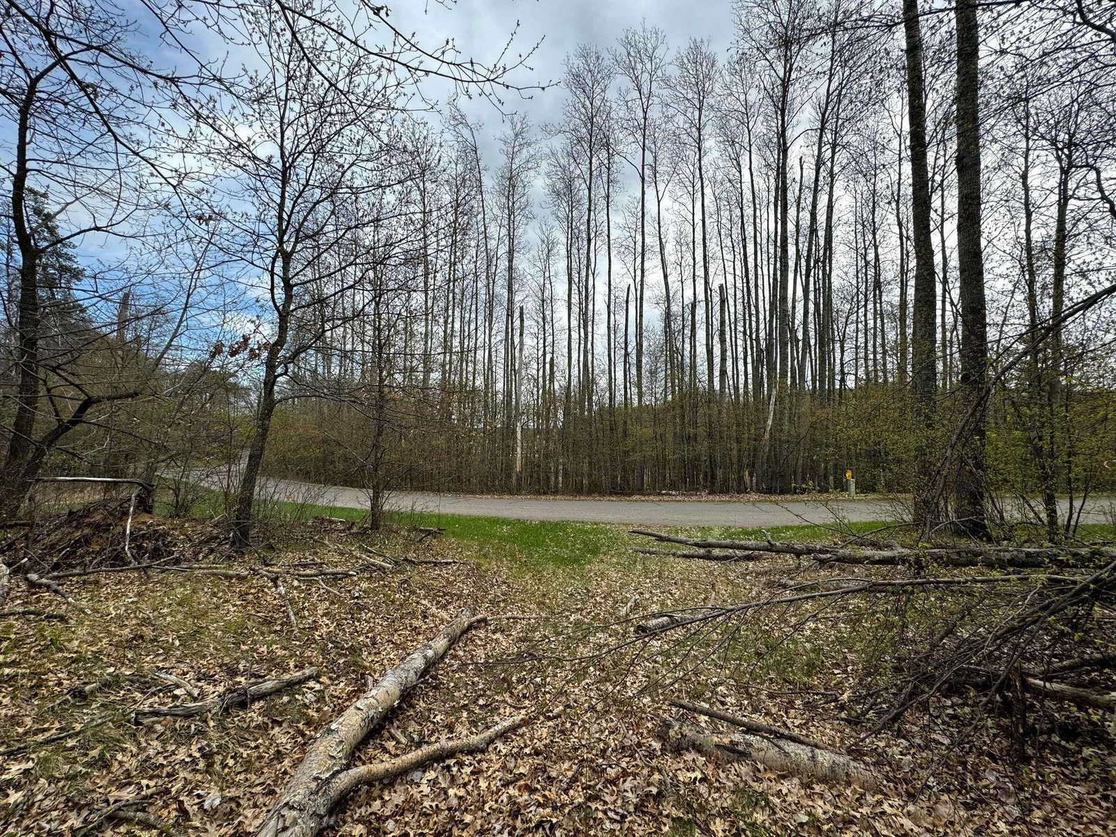 Where future driveway would be looking across road to river.jpg