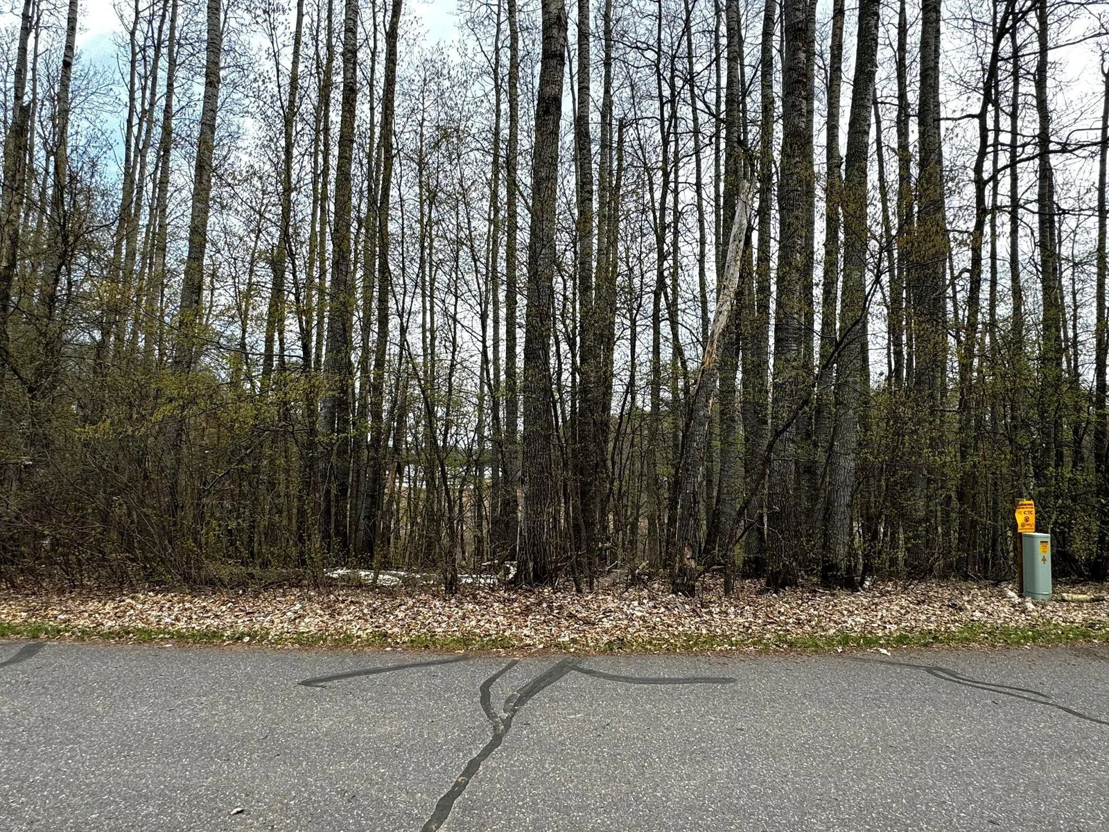 River view across from lot.jpg