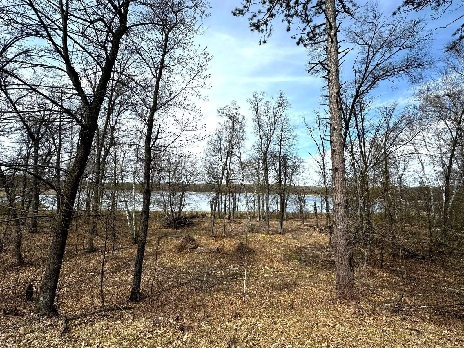 Back of lot an Pickerel Lake.jpg