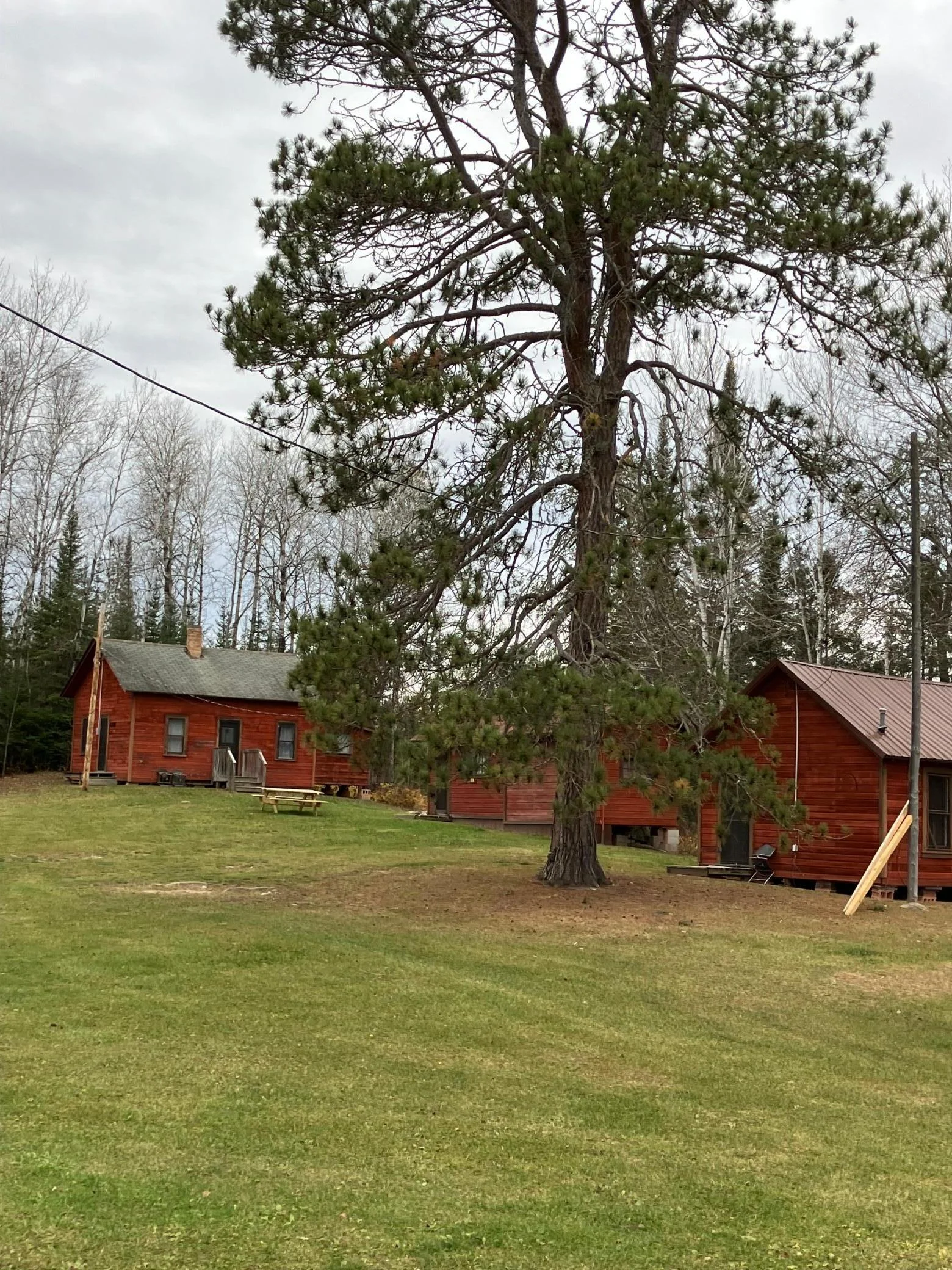Photo 1 of 7036 Gold Mine
