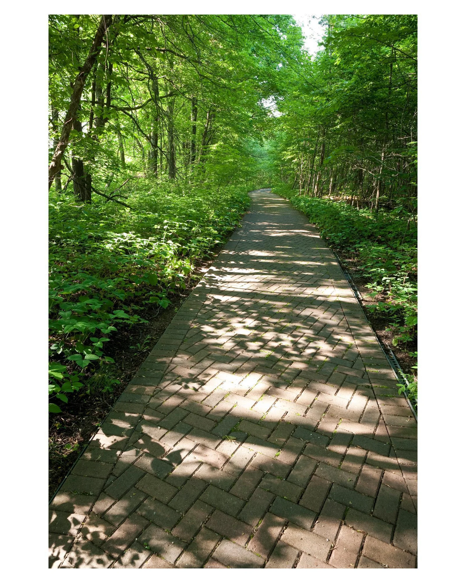 Spot some birds while walking the tranquil paths