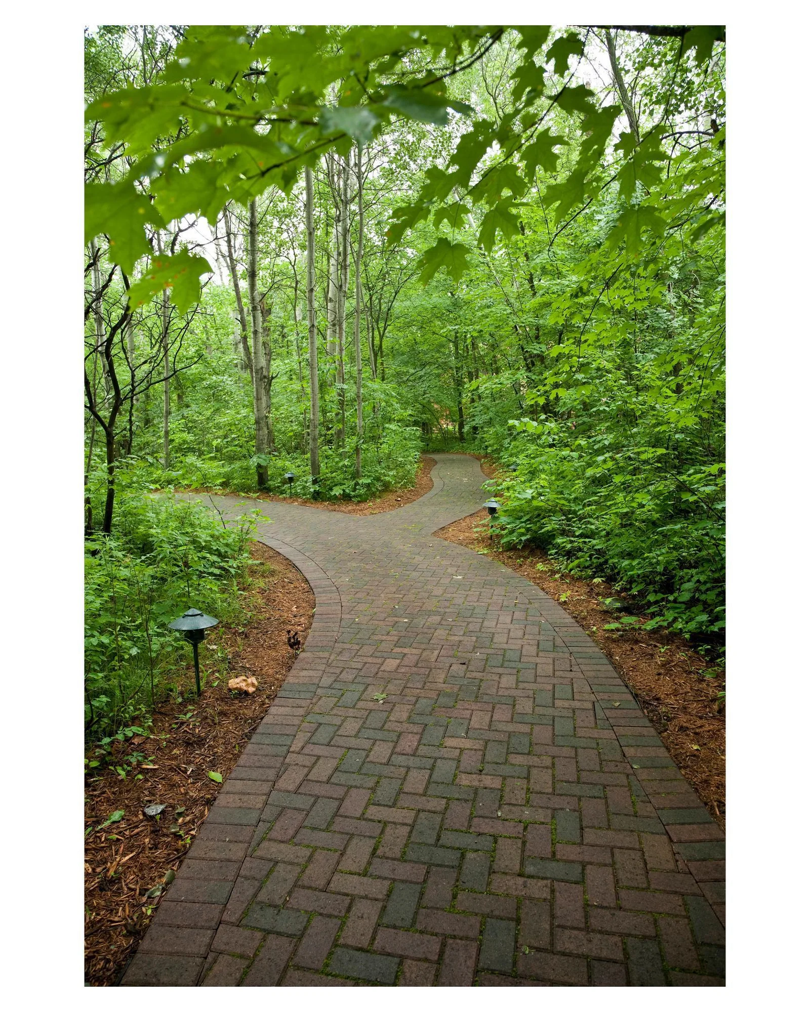Take the many walking paths and search for wild berries