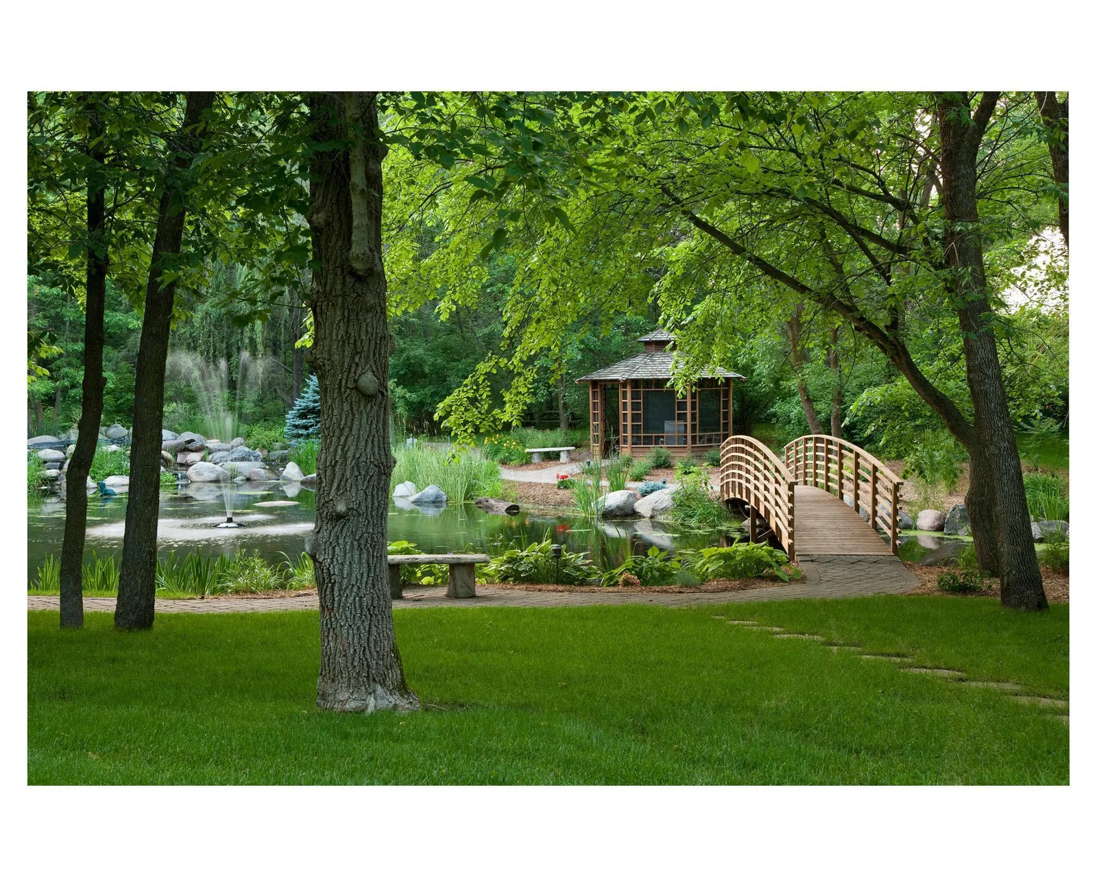 Frog Pond