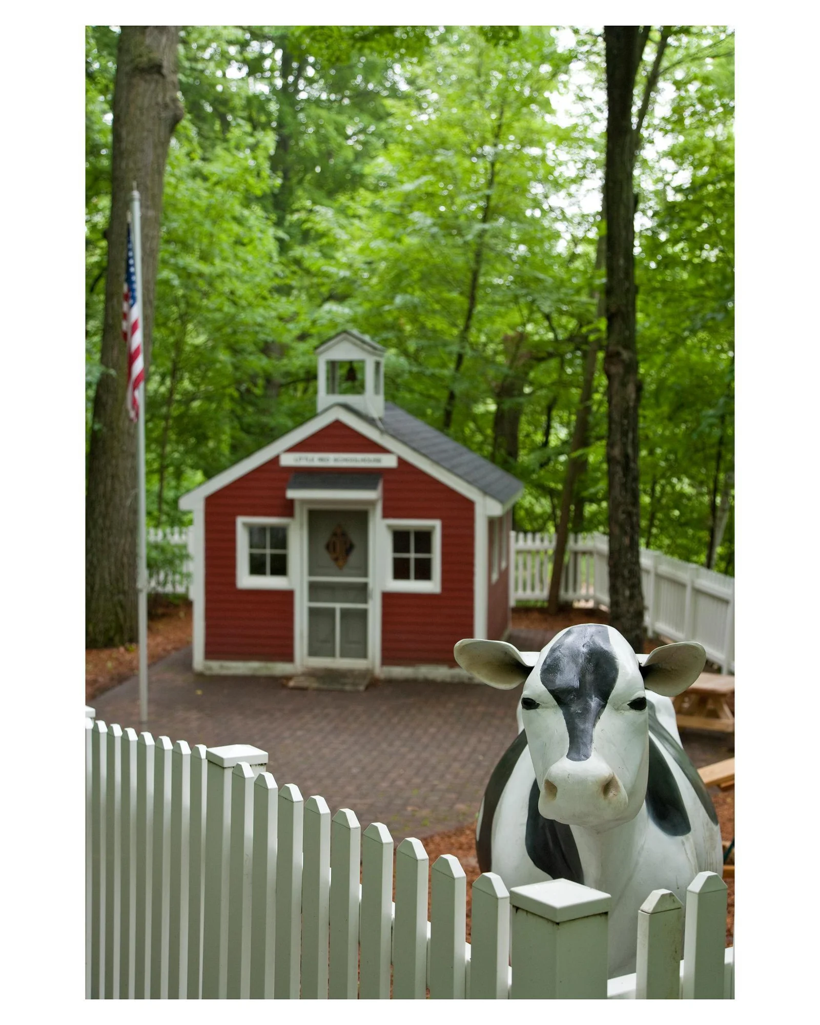 “Harriett” the holstein won’t bite so you can pet her all you’d like