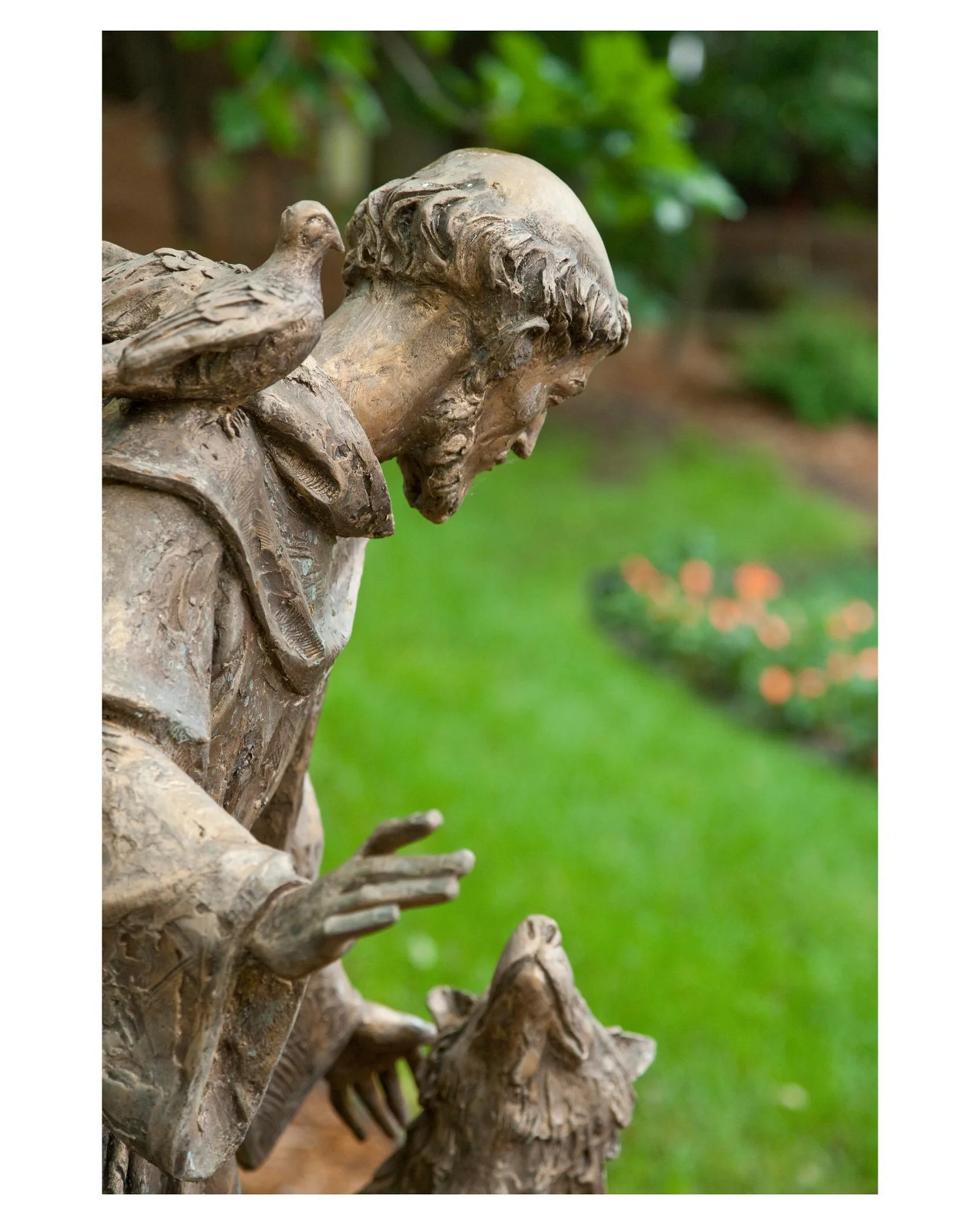 St Francis enjoying nature with his dog