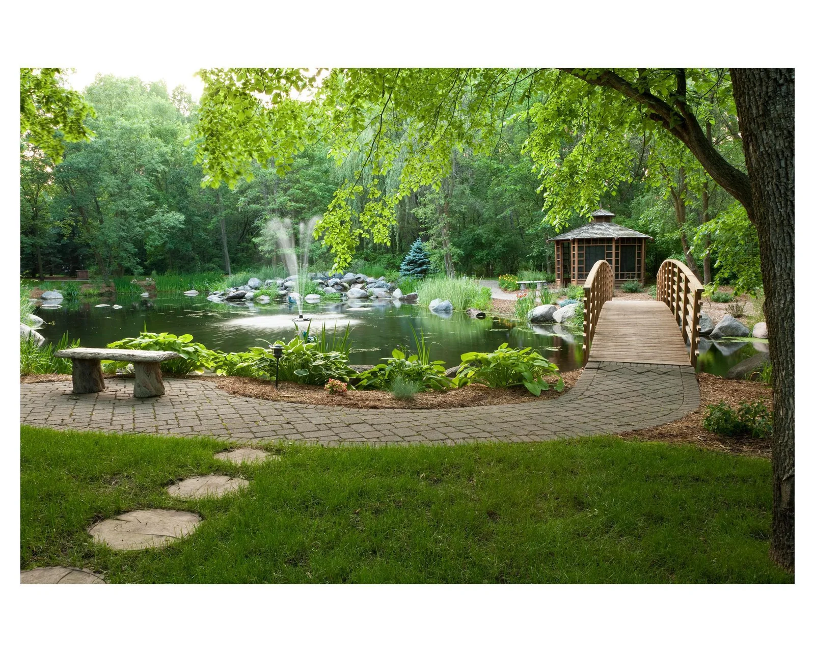 Frog Pond