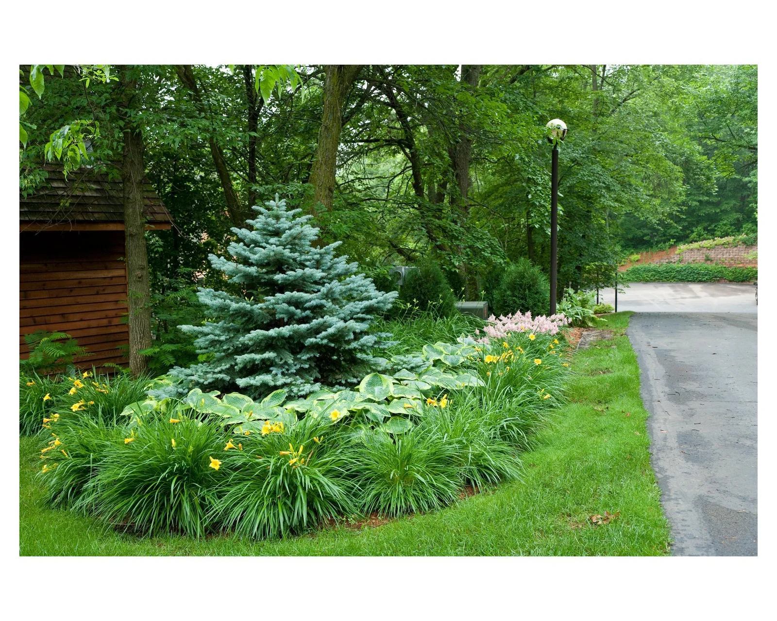 Enjoy the flowers while walking the grounds