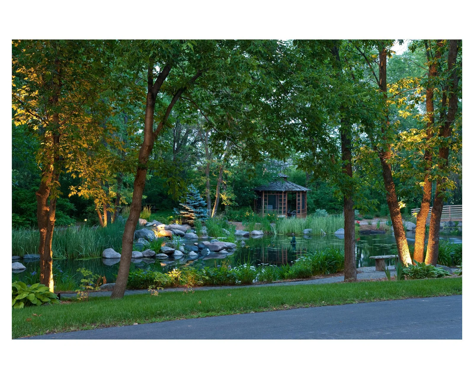 Frog Pond