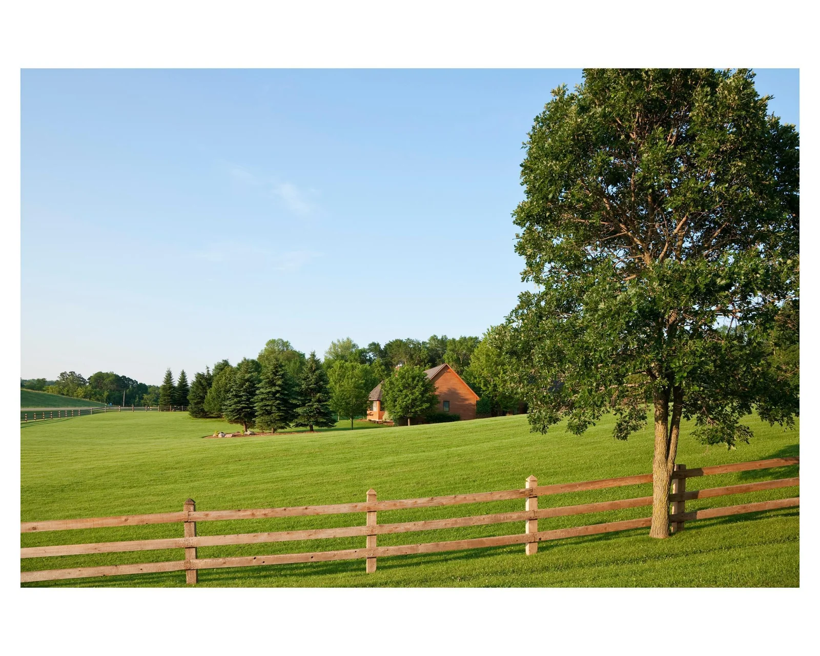 Run free though the spacious grounds