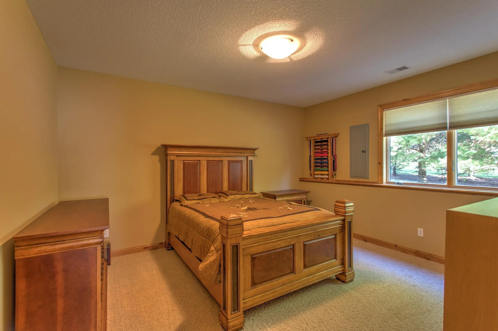 Lower level bedroom