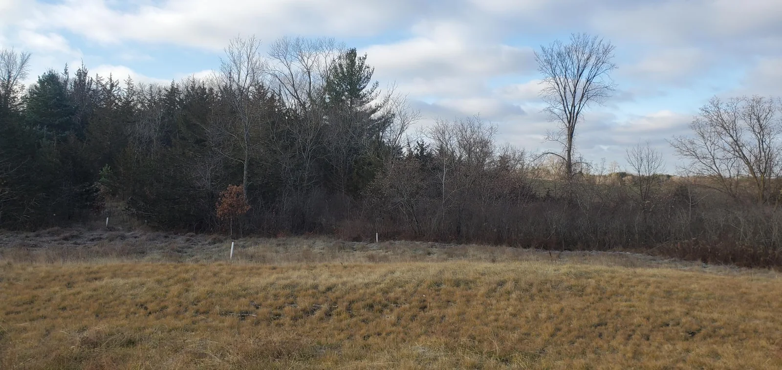 Thumbnail photo 6