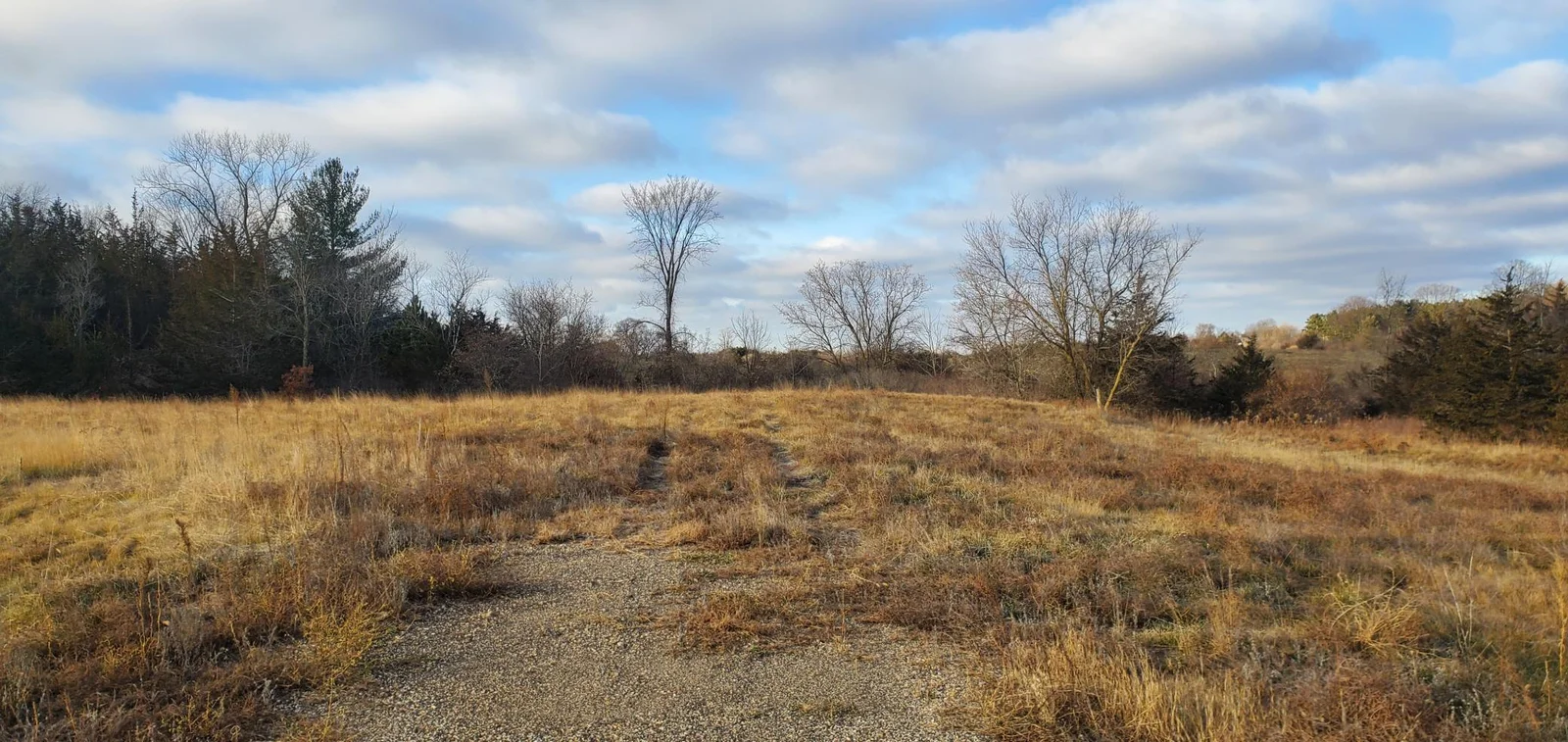Thumbnail photo 5