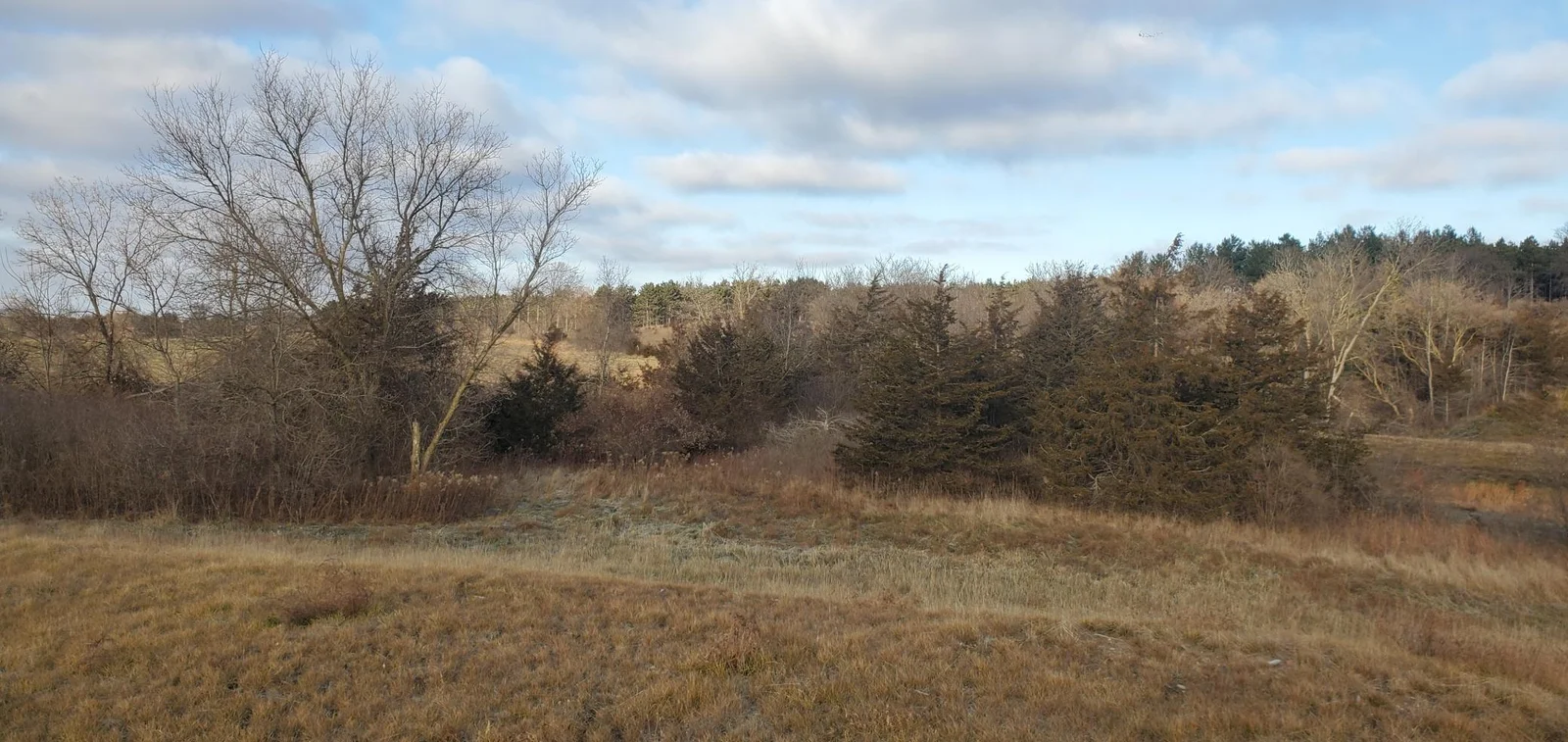 Thumbnail photo 7