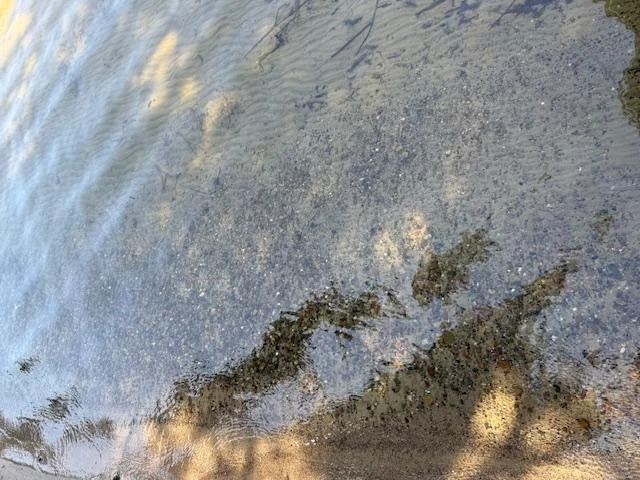 water clarity