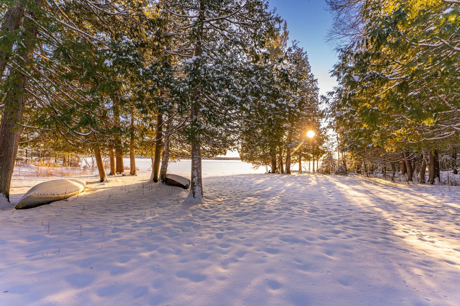 Winter wonderland