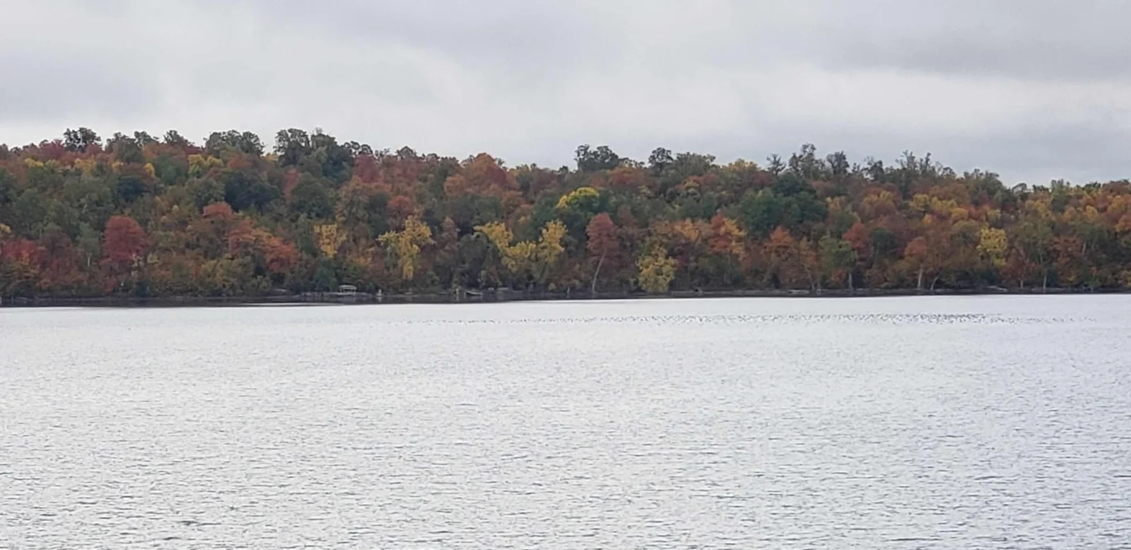 20211001_115457.jpeg