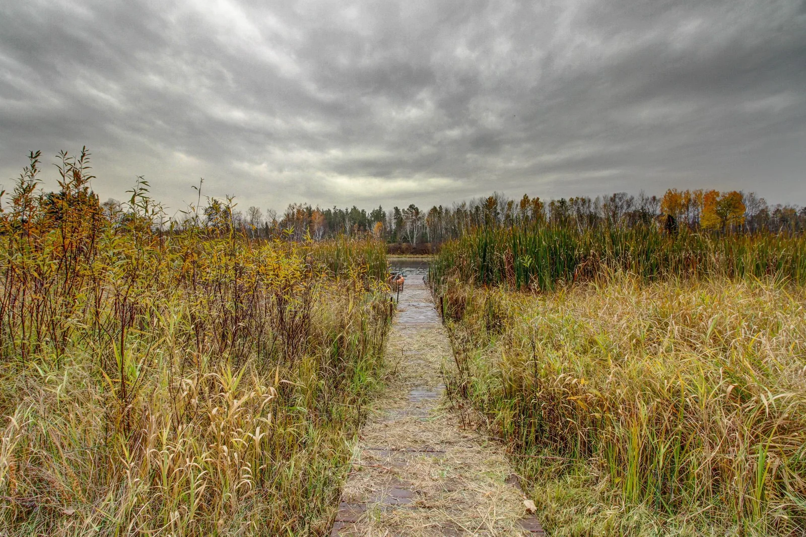 Thumbnail photo 39