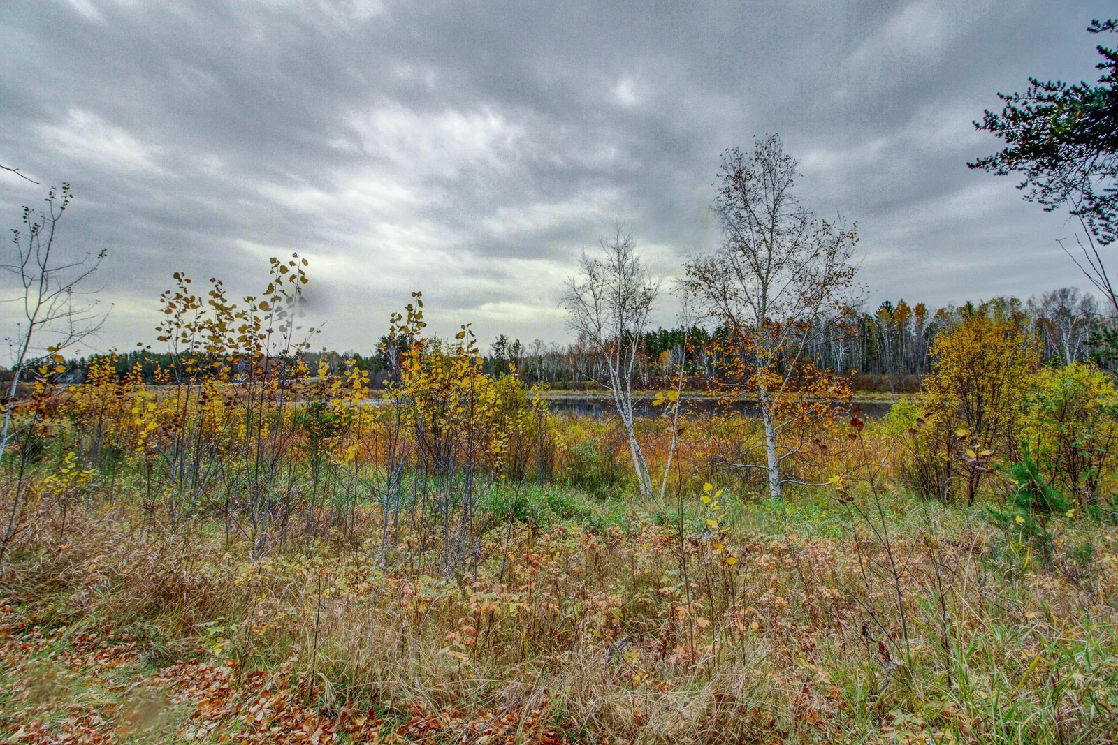 Thumbnail photo 40
