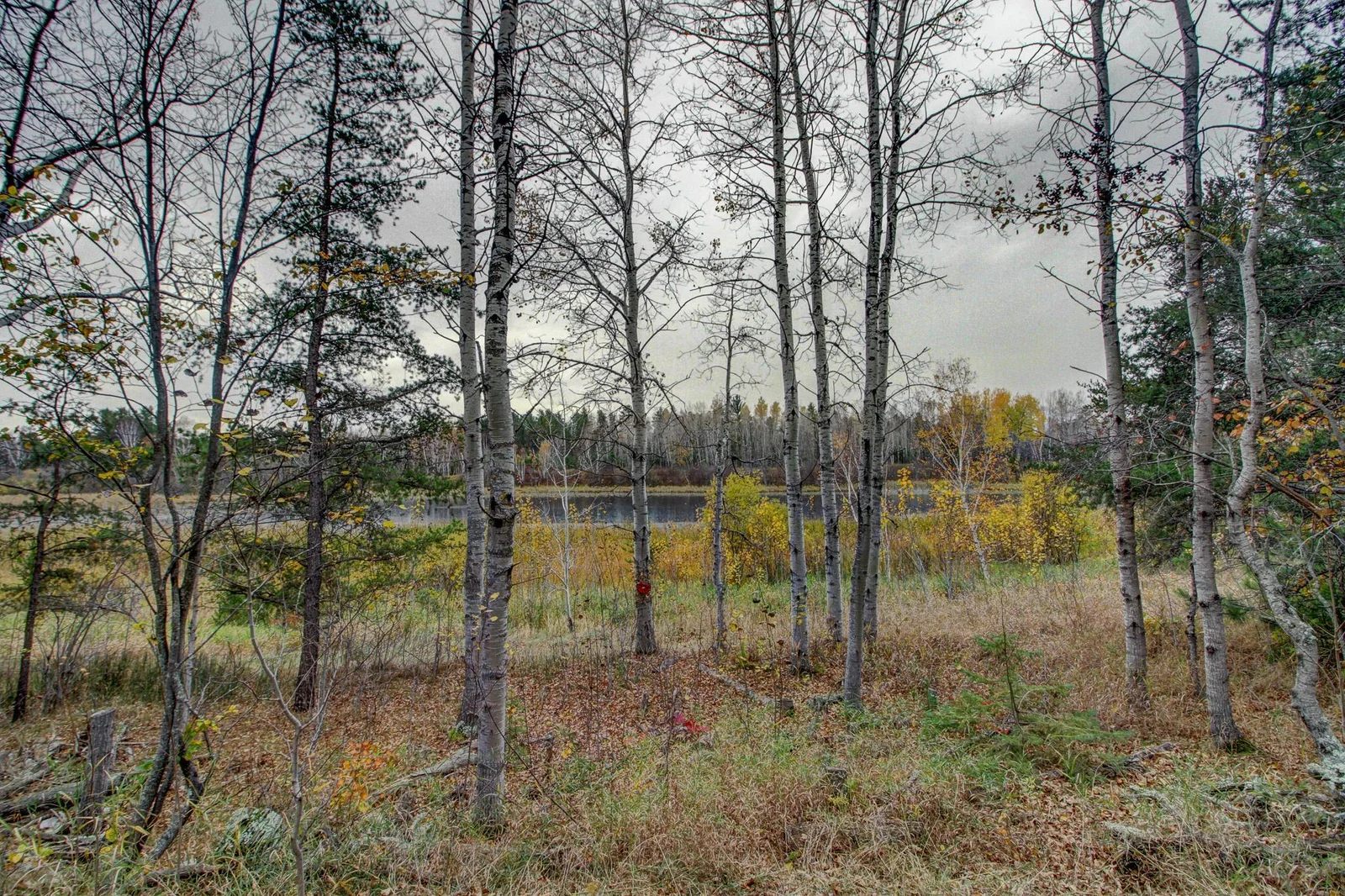 Thumbnail photo 42