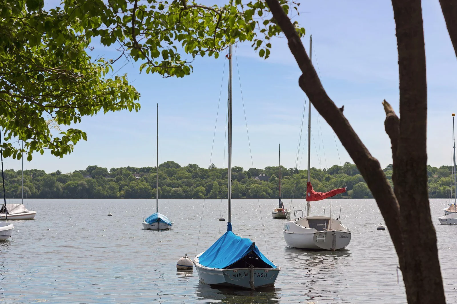 Sailboats on Lake Harriet