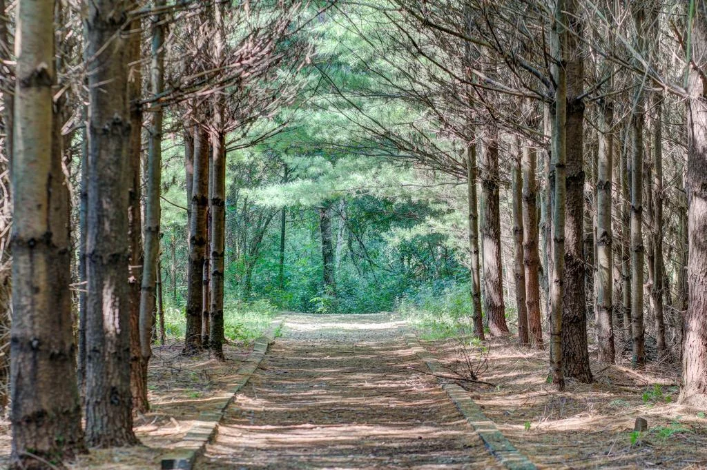 Neighborhood Walking Trail