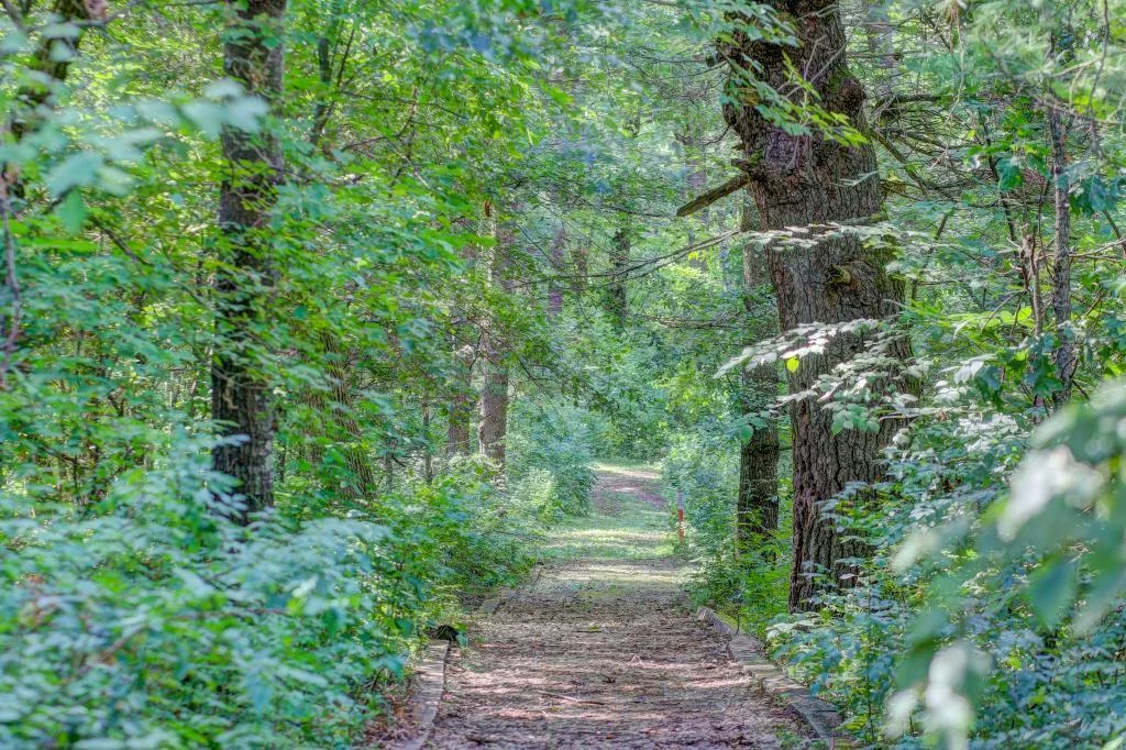 Neighborhood Walking Trails