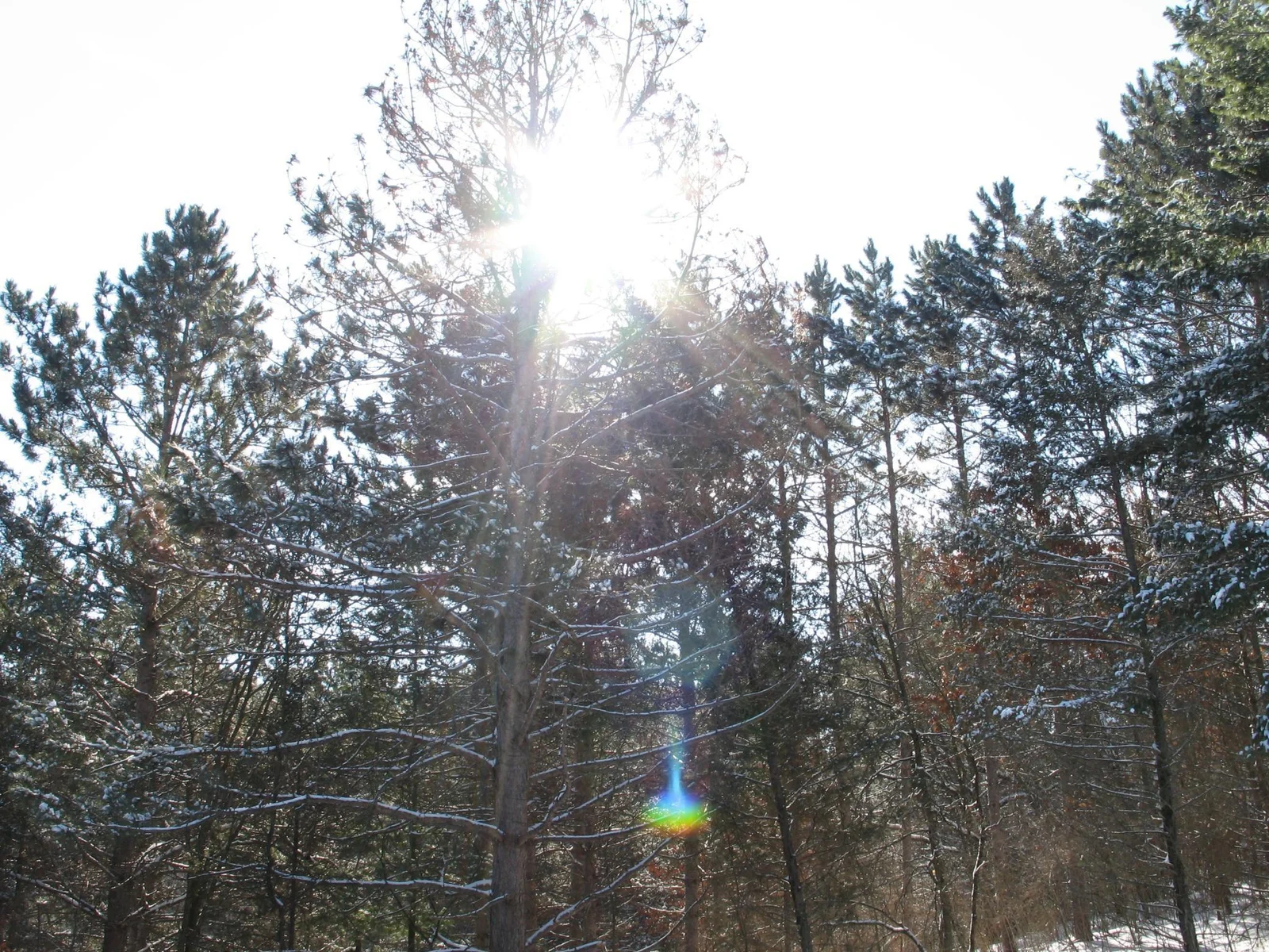 Thumbnail photo 18