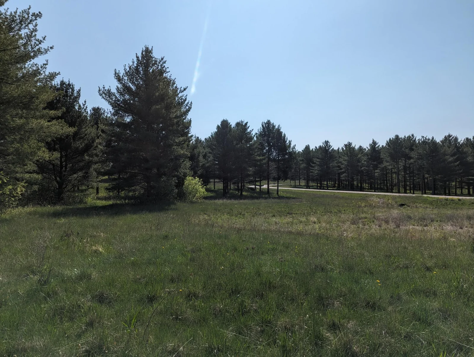 Thumbnail photo 3
