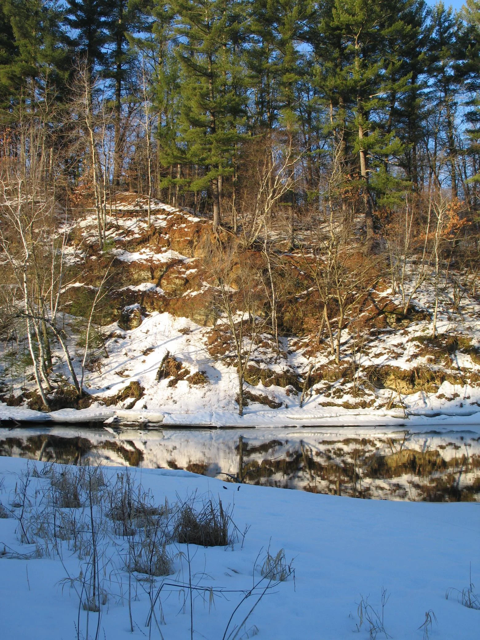 Shared Apple River