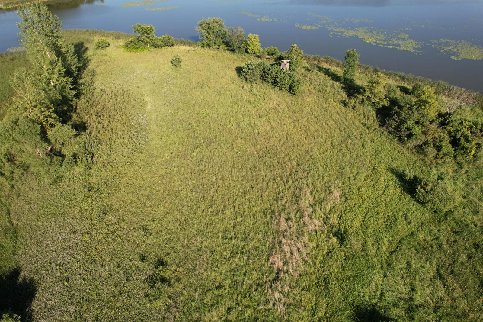 dji_fly_20240802_181342_616_1722646208631_photo copy.jpg
